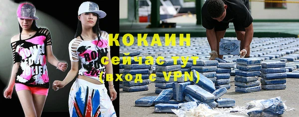 дживик Аркадак