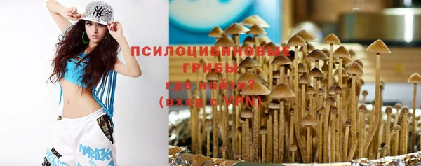 apvp Покровск